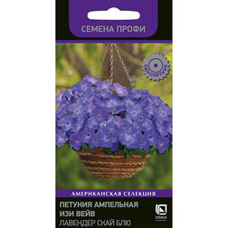 ����  ������� ��������� ��� ���� �������� ���� ��� (������ �����), ������ �� 306 ���