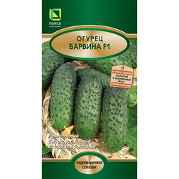 ����  ������ ������� F1, ������ �� 82 ���