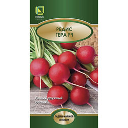 ����  ����� ���� F1, ������ �� 54 ���