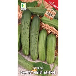 ����  ������ �������� ����, ������ �� 41 ���