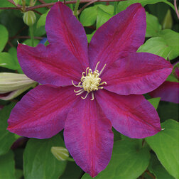 ����  �������� ��������������� ������ (1-�����), ������ �� 599 ���