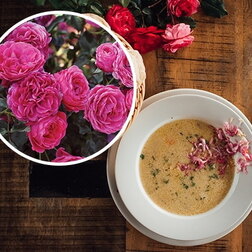 ����  ���� ���������� ������ (���������� �����), ������ �� 1579 ���