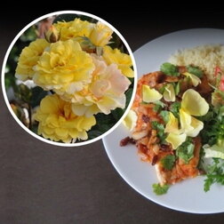 ����  ���� �����-��������� ���� ������� (���������� �����), ������ �� 1579 ���