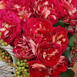 ����  ���� ������ ���������� �� ����������, ������ �� 699 ���