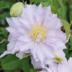 ����  �������� ��������������� ������� ���� (1-�����), ������ �� 1269 ���