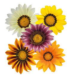 ����  ������� ���� F1 ���� (1��-1000��) ���������������� ������, ������ �� 6880 ���