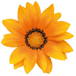 ����  ������� ���� F1 ����� (1��-1000��) ���������������� ������, ������ �� 6880 ���