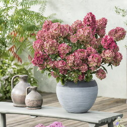 ����  ��������� ����������� ����� ���� (����� �����), ������ �� 1181 ���