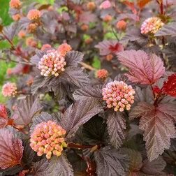 ����  ������������� ������������� ���� ����� ��, ������ �� 663 ���