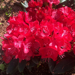 ����  ����������� ��������� ��������� ������, ������ �� 969 ���