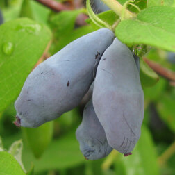 ����  ��������� ��������� ���� 1, ������ �� 349 ���