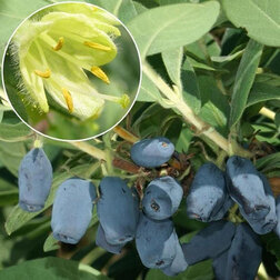 ����  ��������� ��������� ������ ������, ������ �� 349 ���