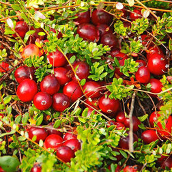 ����  ������ ������������� ����, ������ �� 399 ���