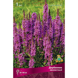 ����  ��������� ����������, ������ �� 416 ���