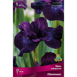 ����  ���� ��������� ϸ������, ������ �� 357 ���