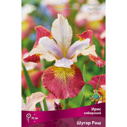 ����  ���� ��������� ����� ���, ������ �� 292 ���