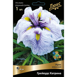 ����  ���� �������� �������� �������, ������ �� 467 ���