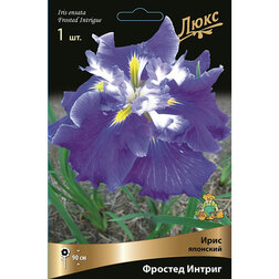 ����  ���� �������� ������� ������, ������ �� 552 ���