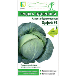 ����  ������� ������������ ����� F1 (������ ��������), ������ �� 45 ���