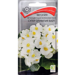 ����  ������� ������������� ������������� ����� ������� ����, ������ �� 55 ���