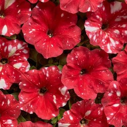 ����  ������� ����������� ��� ���� ��� (1��-1000�����) ���������������� ������, ������ �� 4480 ���