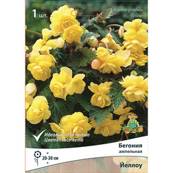 ����  ������� ��������� ������ (1 ��.), ������ �� 226 ���