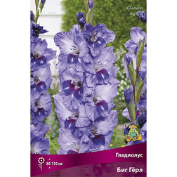 ����  ��������� ��� ���� (10��.), ������ �� 476 ���