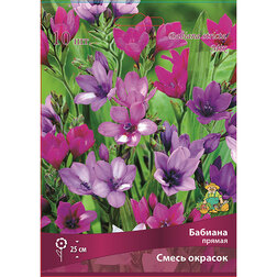 ����  ������� ������ ����� ������� (10��.), ������ �� 297 ���