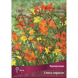 ����  ��������� ����� ������� (10��.), ������ �� 336 ���