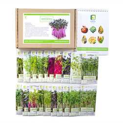 ����  ����� ����� 