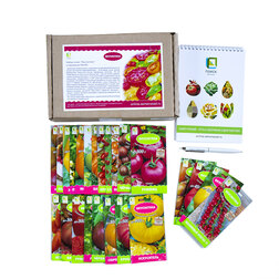 ����  ����� ����� 