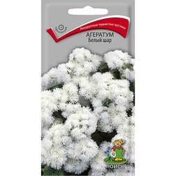 ����  �������� ����� ���, ������ �� 26 ���