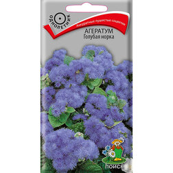 ����  �������� ������� �����, ������ �� 26 ���