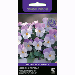 ����  ������ ������� ������ ����� ���� ���� ���� (������ �����), ������ �� 85 ���