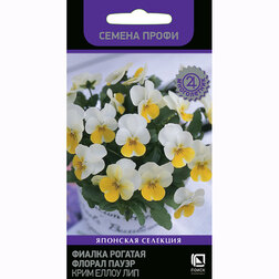 ����  ������ ������� ������ ����� ���� ����� ��� (������ �����), ������ �� 85 ���