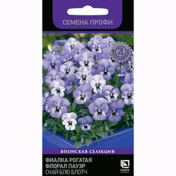 ����  ������ ������� ������ ����� ���� ��� ����� (������ �����), ������ �� 85 ���