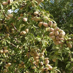 ����  ������� ���������� (������ �����) (� �����), ������ �� 747 ���