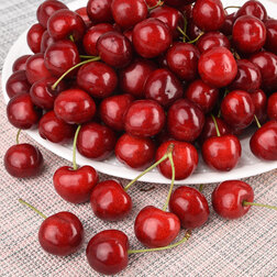 ����  ������� ���� (������ ����� �����������) (� �����), ������ �� 810 ���