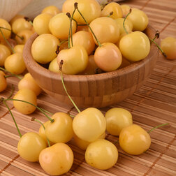 ����  ������� ��������� (� �����), ������ �� 810 ���