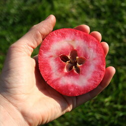 ����  ������ �������������� ������ ������ (������ 54-118 ��������������) (� �����), ������ �� 1080 ���