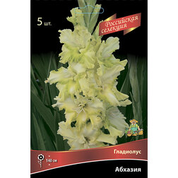 ����  ��������� �������, ������ �� 595 ���