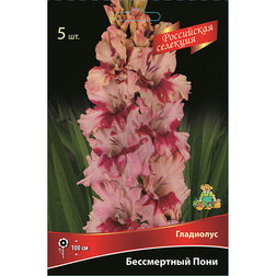 ����  ��������� ����������� ���� (5��.), ������ �� 595 ���