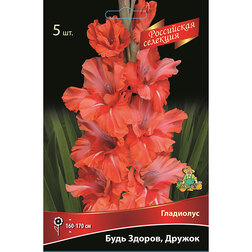 ����  ��������� ���� ������, ������ (5��.), ������ �� 688 ���