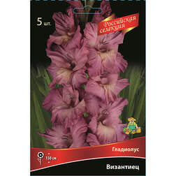 ����  ��������� ��������� (5��.), ������ �� 637 ���