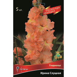 ����  ��������� ����� ������� (5��.), ������ �� 637 ���