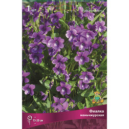 ����  ������ ������������, ������ �� 283 ���