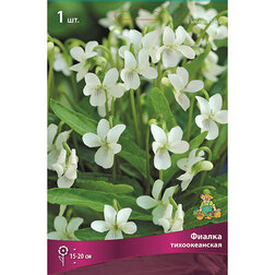 ����  ������ �������������, ������ �� 283 ���