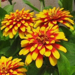 ����  ������ ����� ������� ��� ����� (1��-1000��) ���������������� ������, ������ �� 45760 ���