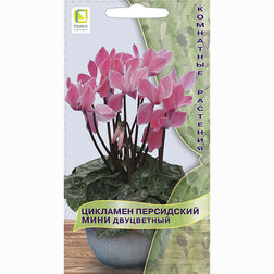 ����  �������� ���������� ���� ����������, ������ �� 69 ���