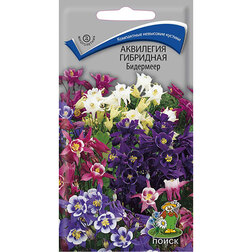 ����  ��������� ��������� ���������, ������ �� 26 ���